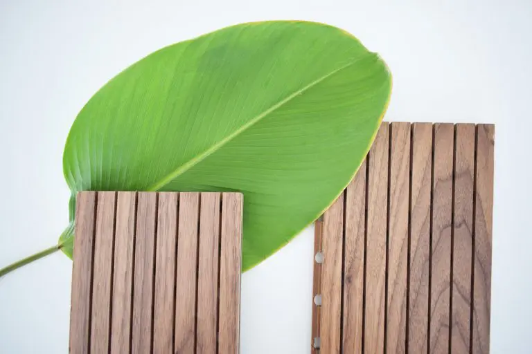 A large green leaf is placed on a white surface with two rectangular acoustic treatment wooden panels featuring vertical grooves partially overlapping the leaf.