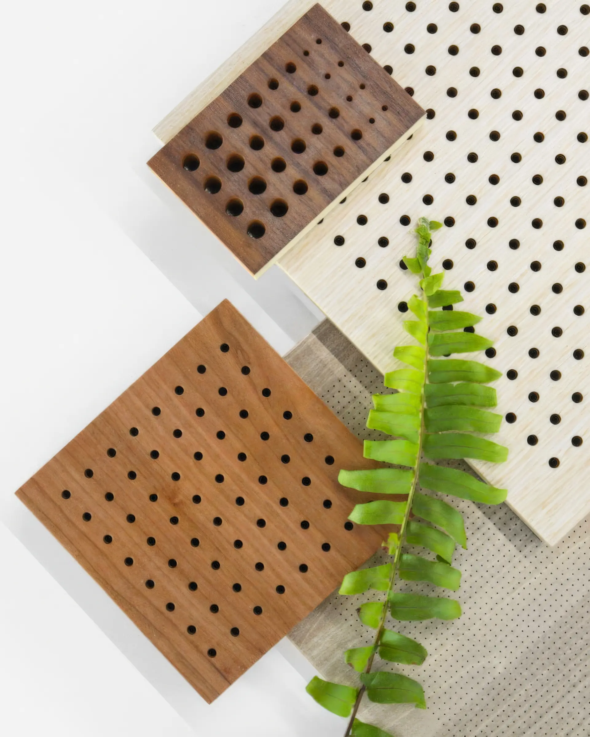 Three perforated wooden boards of different sizes and shades are arranged on a white background, showcasing some of the best materials for acoustic panels, with a green fern leaf placed diagonally across the lower right corner.